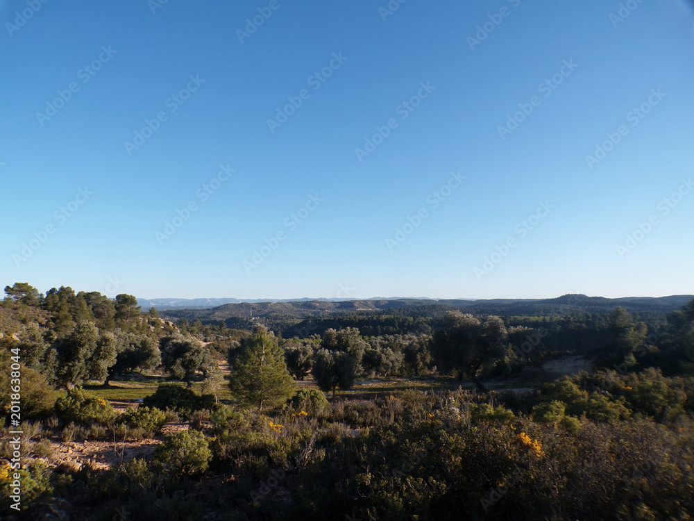 Obraz premium Panoramic landscape with blue sky and forest hills in Spain