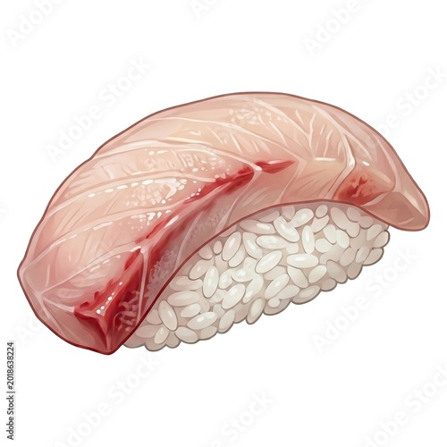 Hamachi yellowtail nigiri sushi illustration on a white background