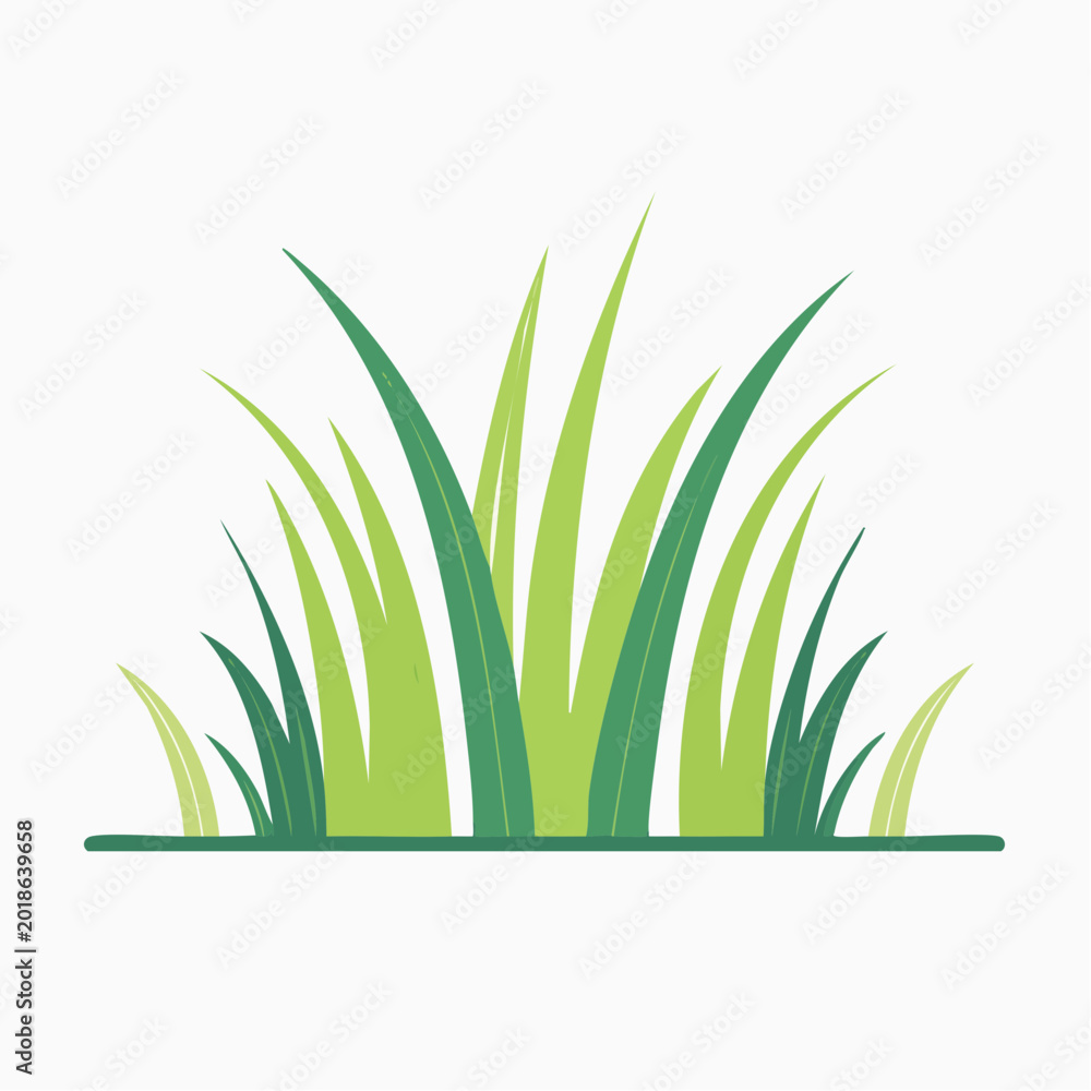 Fototapeta premium Green Grass Illustration
