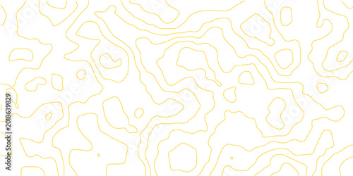 Bild auf Leinwand Abstract contour lines map, a topographic-style, an eye-catching illustration of a cartographic abstract landscape pattern in a close-up shot