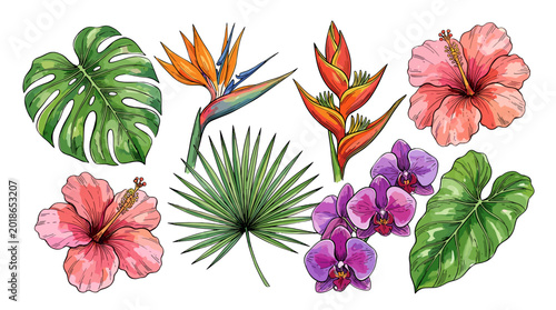 Vibrant tropical flowers and lush green leaves arranged in a colorful composition