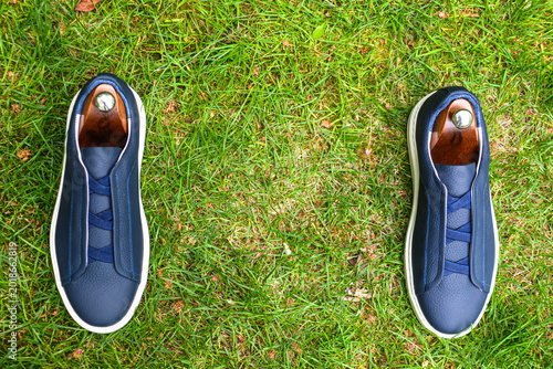 Pair of men 's shoes on the grass. Blue sneakers on a stump in the garden. Shoe fashion. Stylish sneakers