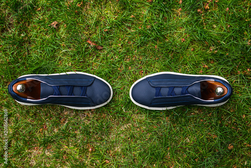 Pair of men 's shoes on the grass. Blue sneakers on a stump in the garden. Shoe fashion. Stylish sneakers