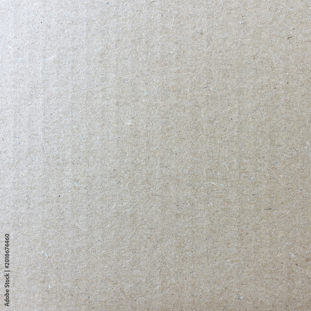 Fototapeta premium Clean White Paper Texture Background for Design and Mockups