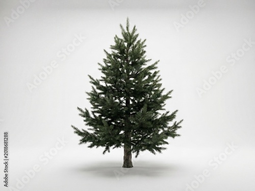 Isolated evergreen tree realistic 3d render for seasonal graphics