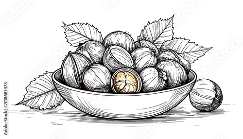 Bowl of walnuts with leaves, hand-drawn sketch style, outline illustration, natural food element, healthy snack