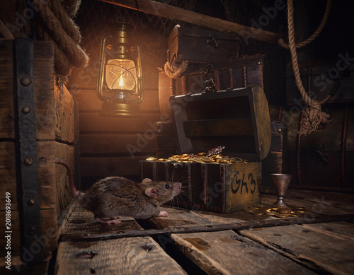 A rat sneaking into a cargo hold filled with treasure chests, cinematic realism