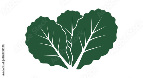 Φωτογραφία Green leafy vegetable illustration.