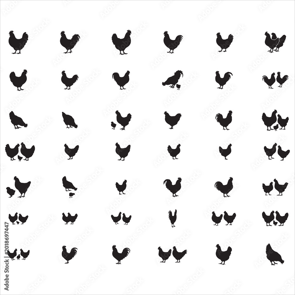 Fototapeta premium chicken silhouettes,Chicken SVG Bundle