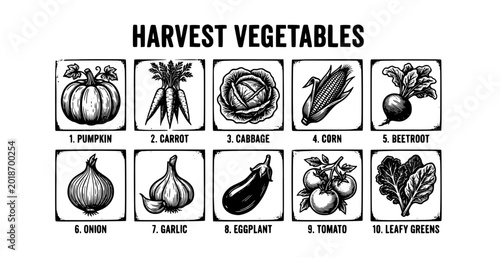 Vegetables linocut woodcut set monochrome harvest engraving vector illustration