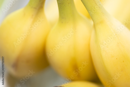 Macro close up of fresh yellow banana stems in a bunch