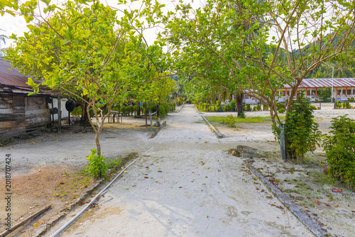 Tableau sur toile The small road on the island