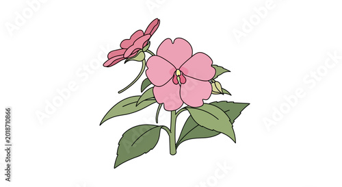 Fotografia Pink Flower with Green Leaves Blooming.