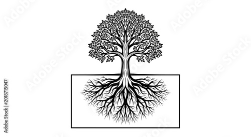 Bild auf Leinwand Black and white tree silhouette with prominent roots in a frame