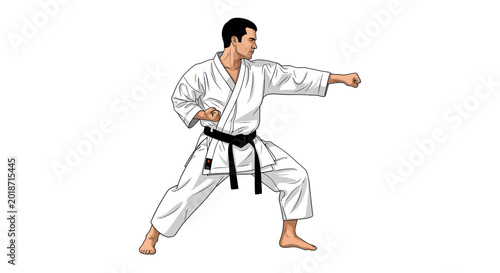 Photos Karate martial artist performing a punch in a white gi.