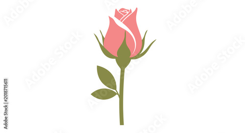Quadro em tela Pink Rose Flower with Green Stem.