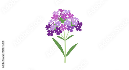 Photos Purple Flower with Green Leaves Blooming.