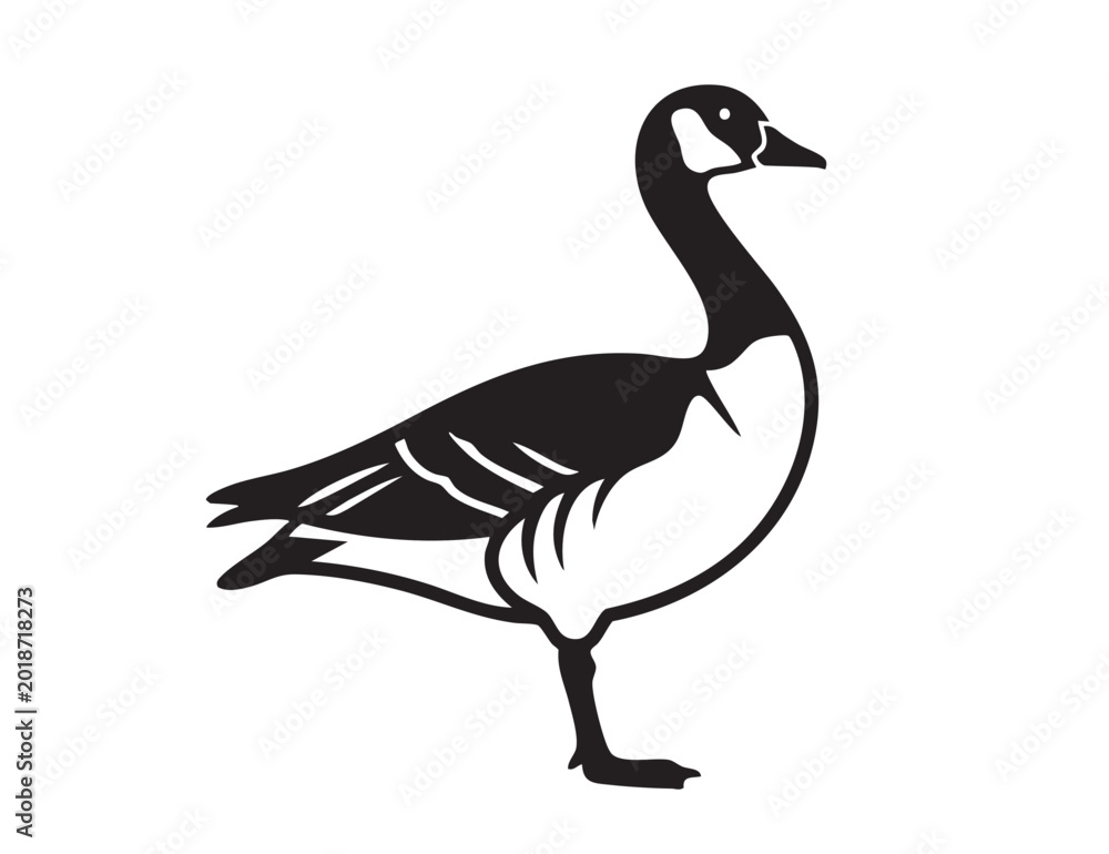 Obraz premium Canada goose standing silhouette vector illustration in black and white minimalist style.