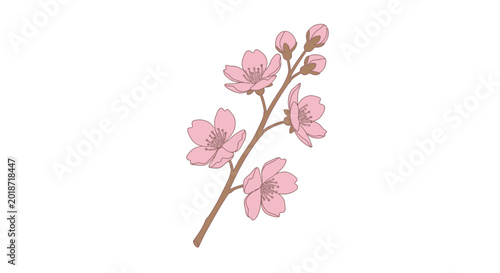 Konstfotografi Pink Cherry Blossom Flower Branch.