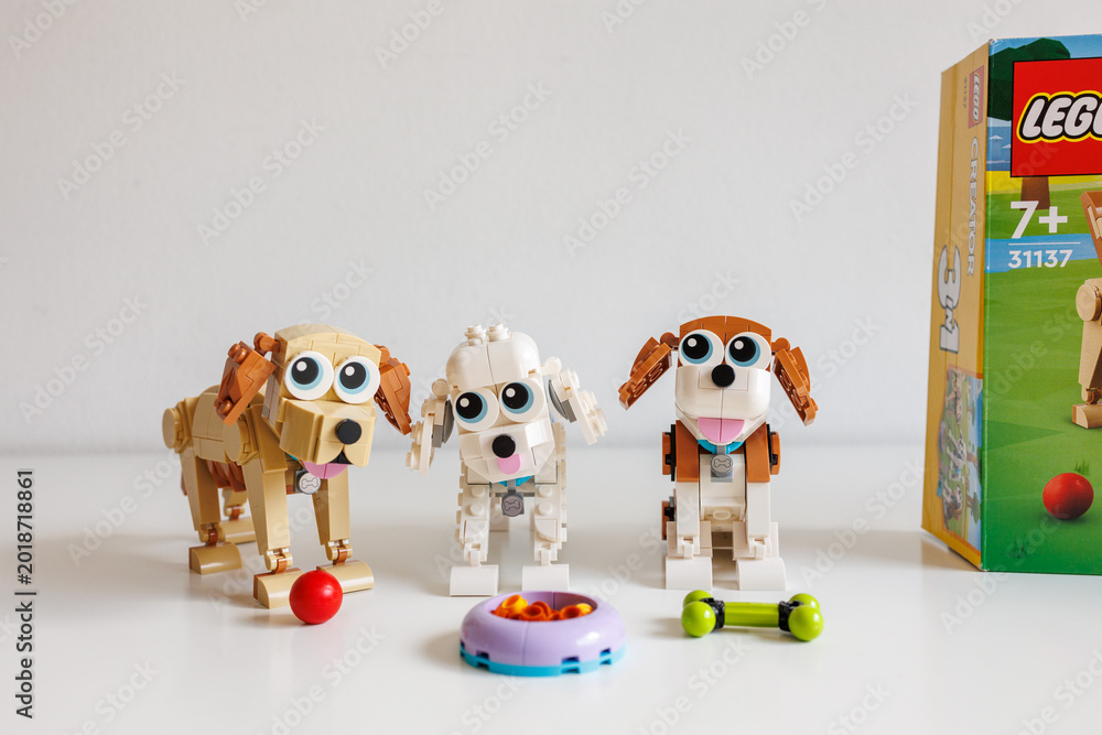 Fototapeta premium LEGO Creator 3 in 1 Cute Dogs set 31137 toy figures on white background