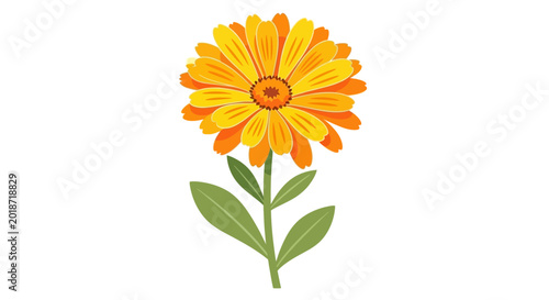 Bild auf Leinwand Vibrant Orange Flower with Green Leaves.