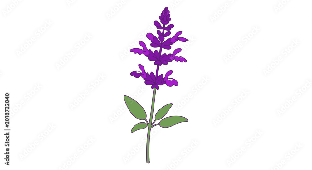 Obraz premium Purple Flower with Green Leaves Stem.