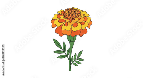 Tablou pe pânză Vibrant Orange Yellow Flower Blooming.