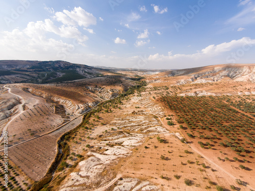 Quadro em tela Pistachio orchards on heavily eroded semi-arid terrain with calcareous badlands formations