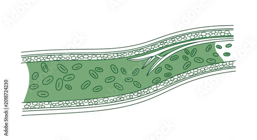 Foto Illustration of blood cells flowing through a stylized artery.