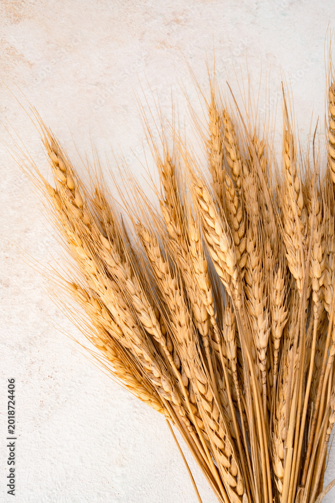 Fototapeta premium Wheat spikelets on a white stone background.