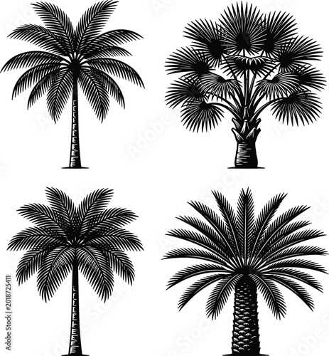 Εκτύπωση καμβά Palm Tree Silhouette Collection Featuring Tropical Botanical Designs for Beach L