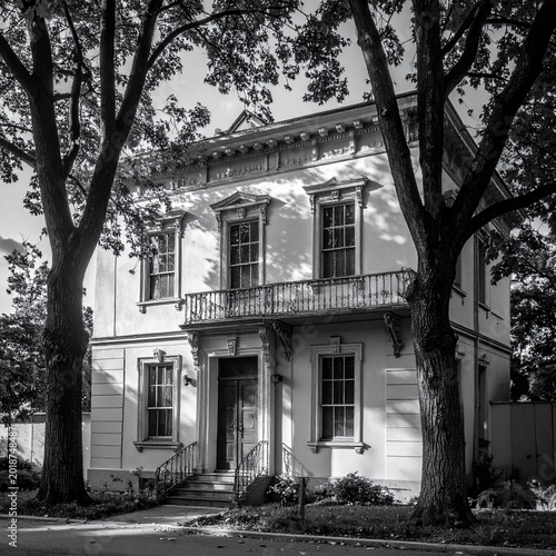 Ornate Victorian house with trees