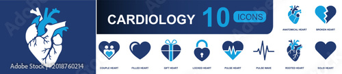 Fotografie Cardiology icon set