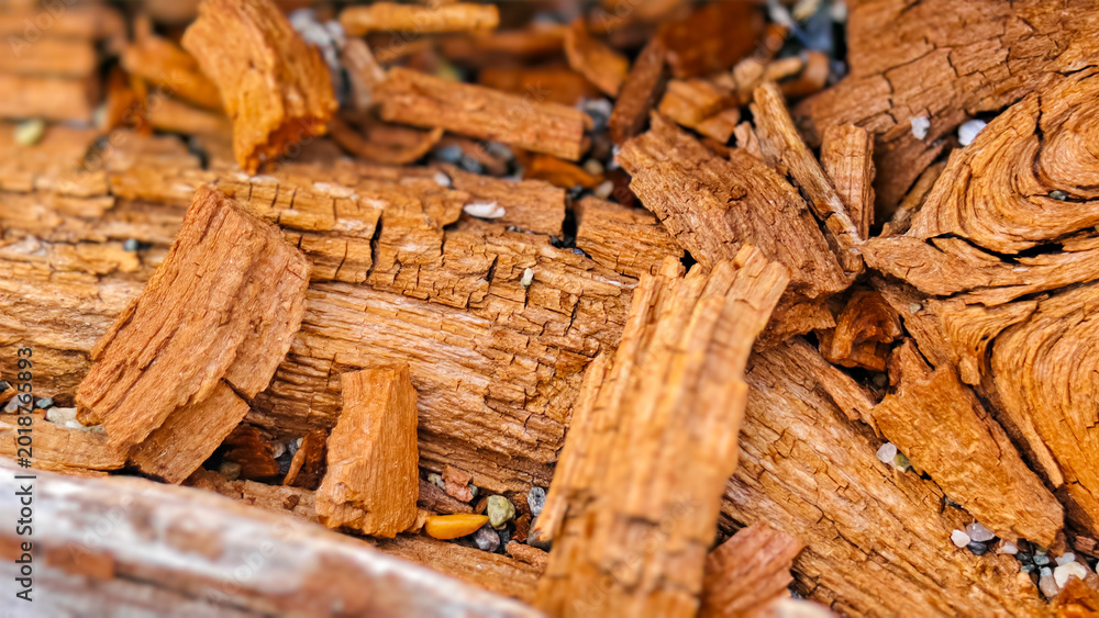 Fototapeta premium Close up of dry tree bark pieces