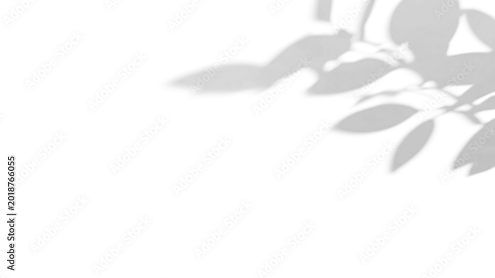 Obraz premium shadow overlay effect of natural tree leaves shadow over on white wall,abstract summer sunlight shadow on transparent background,branch shadow,flora shadow,leaf shadow,plants shadow