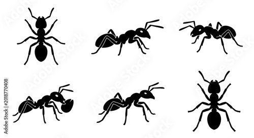 Bild auf Leinwand Six Silhouette Ant Vector Icons, Insect Collection, Black and White Bug Graphics