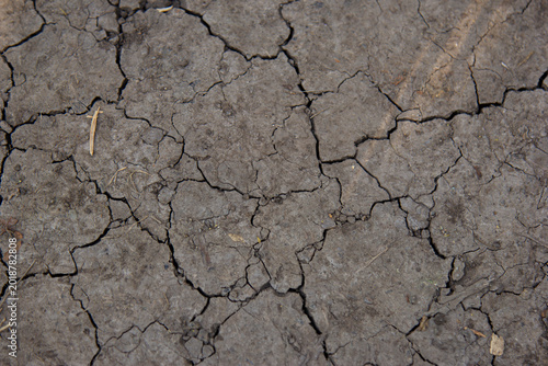 Принти на полотні Full frame background texture of dry, cracked, and parched earth due to drought
