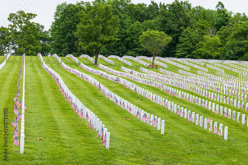 Tableau sur toile 65095-04303 Jefferson Barracks National Cemetery on Memorial Day St