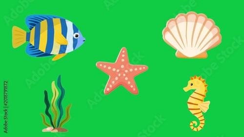 2D Animated Ocean Creatures with Cute Marine Elements for Kids Education Collection