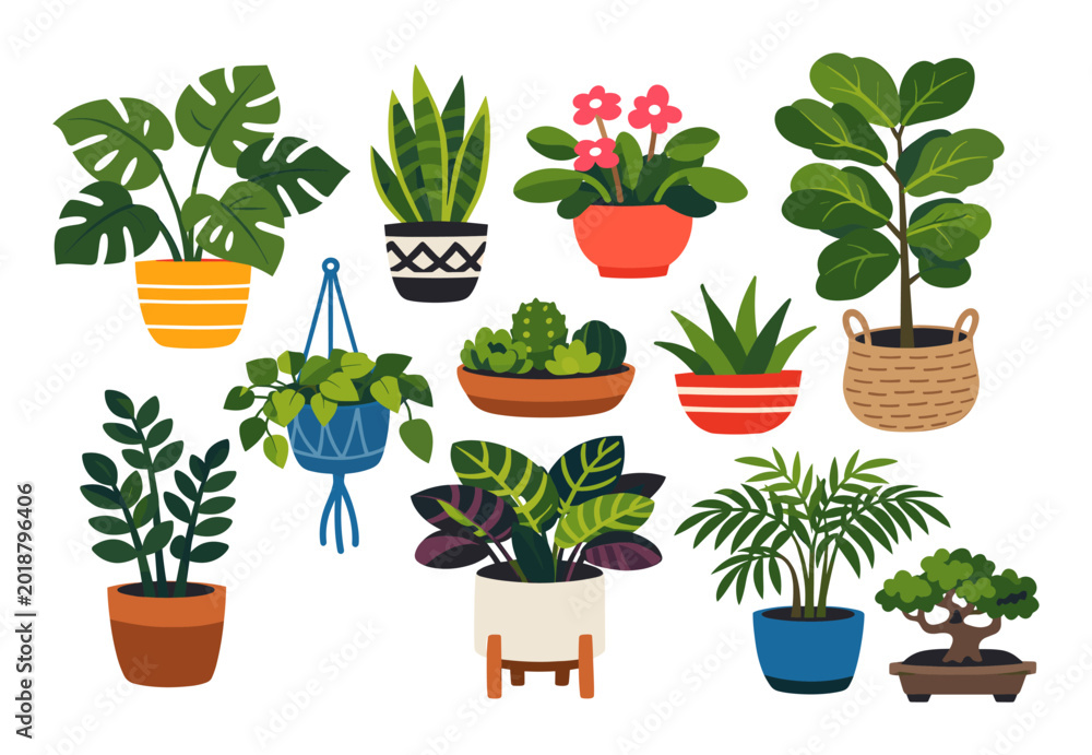 Fototapeta premium Variety of potted houseplants illustrating greenery and botanic decor for interior design, home gardening, and plant care concepts