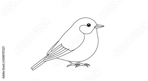 Schilderij op canvas Delicate black and white line drawing of a small songbird standing calmly on its feet with detailed feathers on its wing