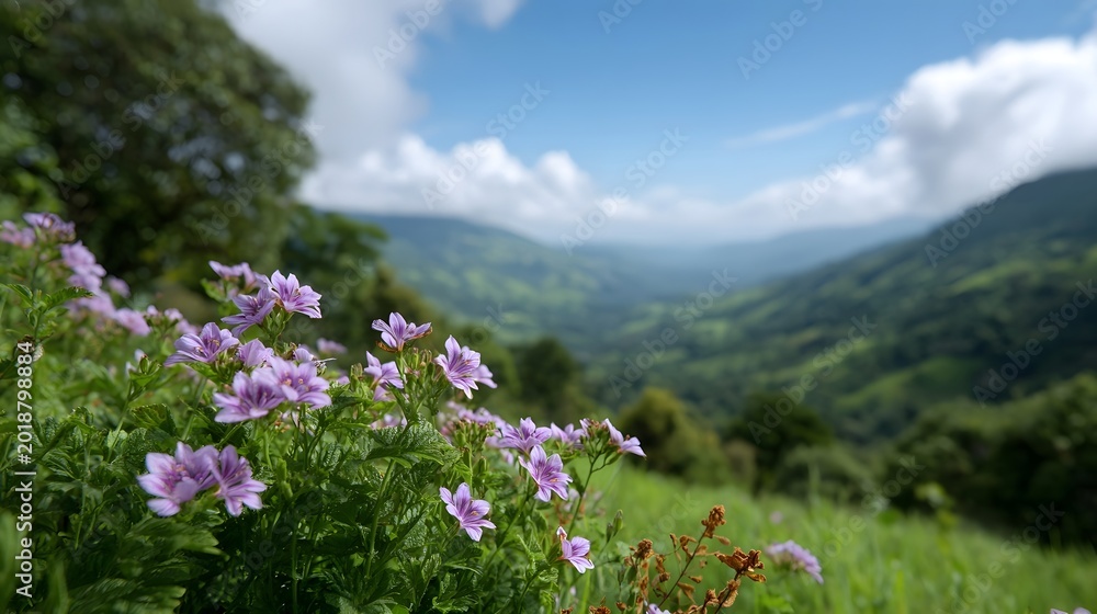 Obraz premium Blooming wildflowers frame a breathtaking panoramic view of lush green mountains under a bright dynamic sky