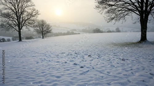 Time-lapse of fresh snowfall peacefully covering open meadow in winter landscape against foggy countryside background 