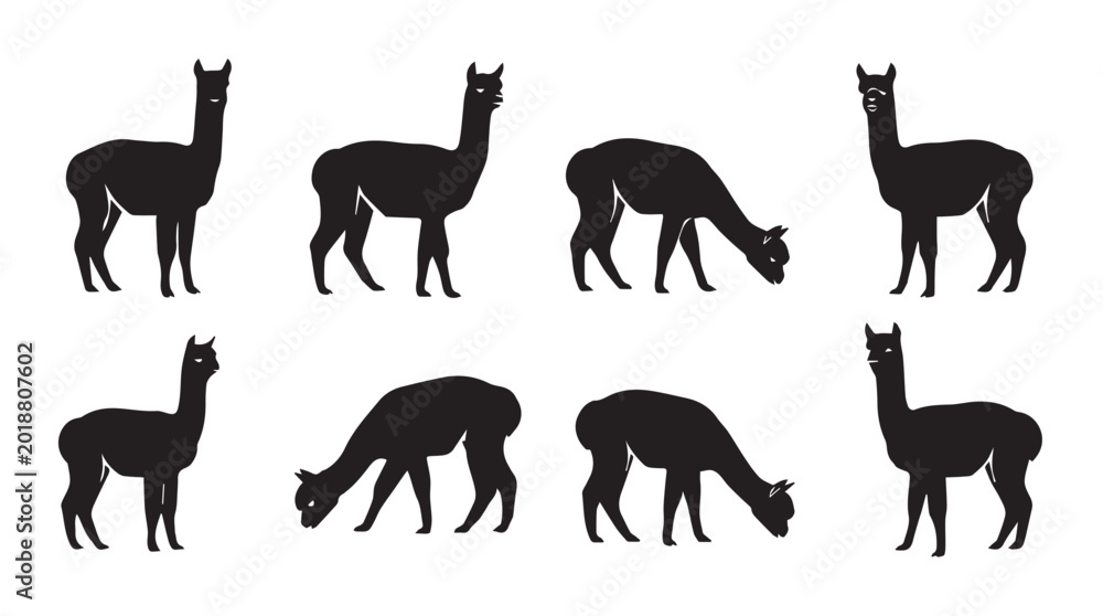 Fototapeta premium Alpaca silhouettes grazing and standing against a white background in a conceptual composition