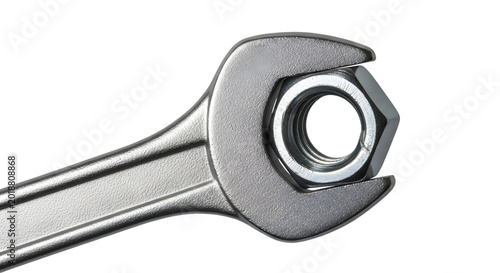 Quadro su tela Steel wrench holding a hex nut isolated on transparent background