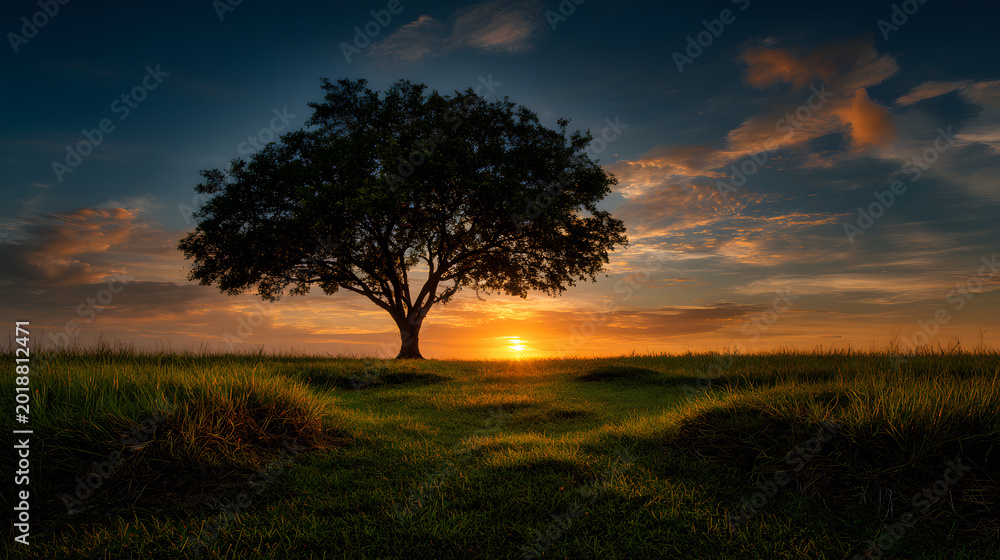 Fototapeta premium Simple composition of tree silhouette and empty landscape 