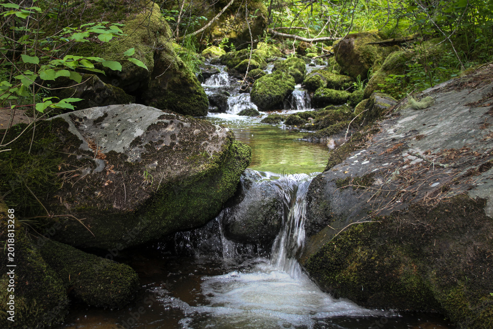 Fototapeta premium photo of stream in the forest with a small waterfall cascading over boulders through jungle like environment