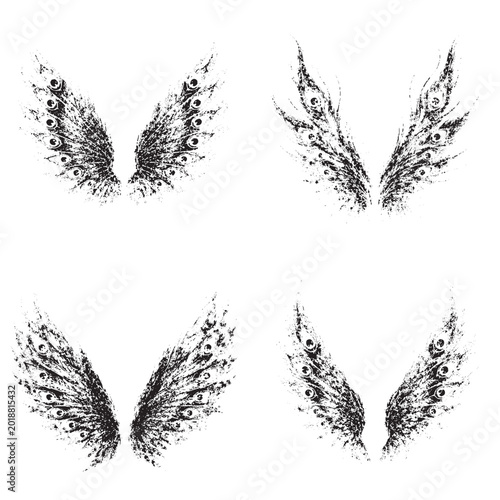 Grunge peacock Wings Collection with Distressed Feather Texture Design