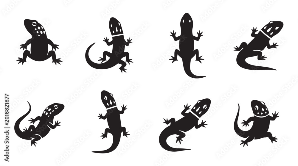 Obraz premium Lizard silhouettes in various poses against a white background with simple graphic design elements