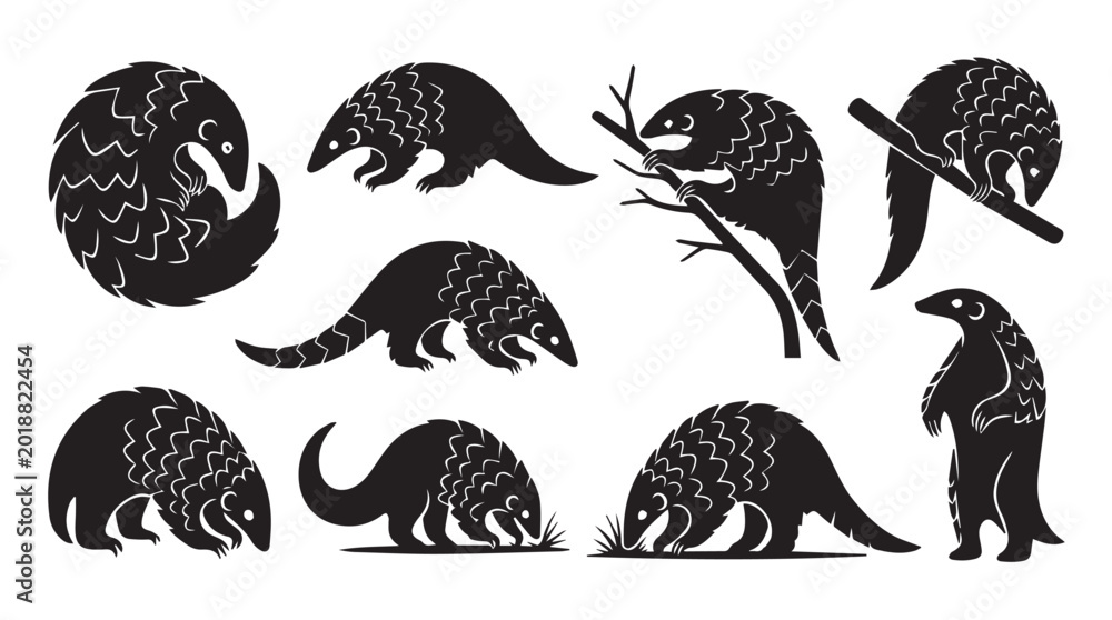 Obraz premium Pangolin collection in dynamic poses against a white backdrop during daytime with clear outlines and a simple concept